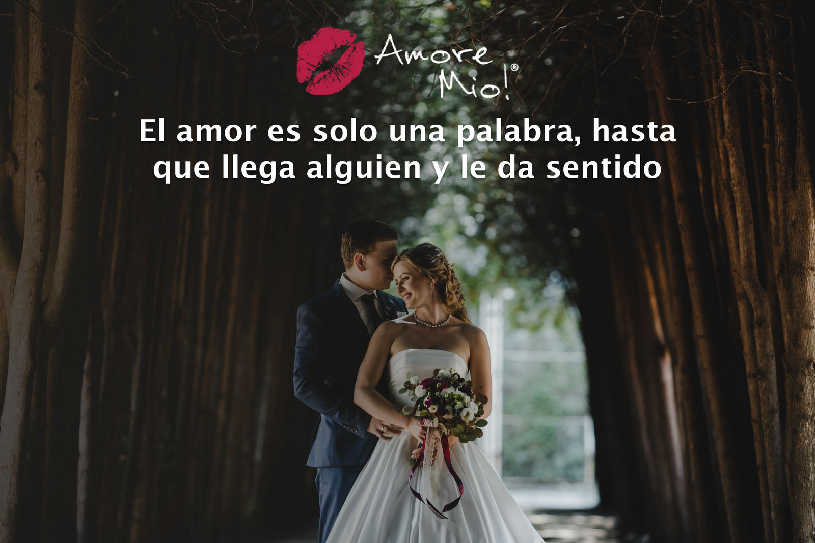 TODO SOBRE LAS ENDLESS WEDDINGS