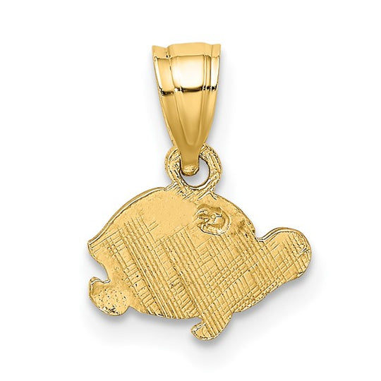 Dije Mini Tortuga Plano y Grabado en Oro Amarillo de 10k