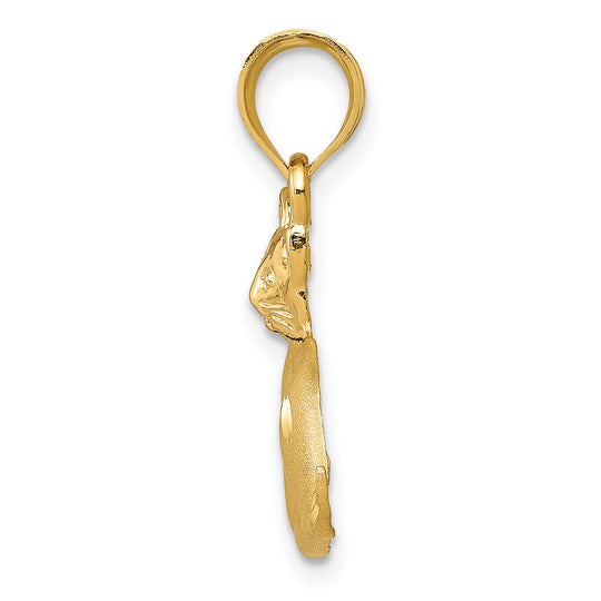 Colgante de Gato en Oro Amarillo de 14K