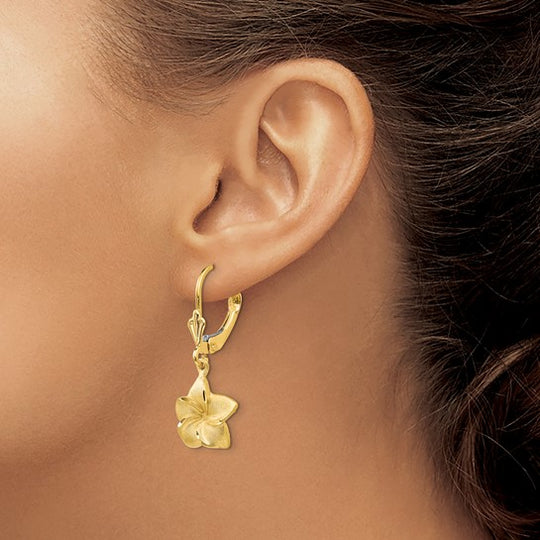 Aretes Colgantes de Plumeria Satinados y con Corte Tipo Diamante en Oro Amarillo de 14K