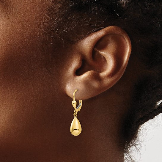 Aretes Colgantes Elegantes Pulidos con Cierre de Palanca en Oro Amarillo de 14K