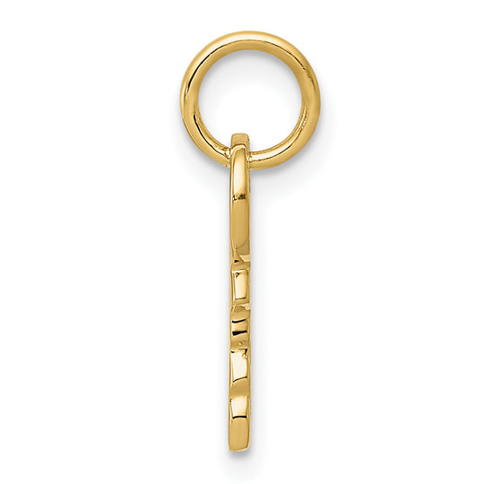 Colgante de Llave Redonda 3D de Oro Amarillo Pulido de 14K