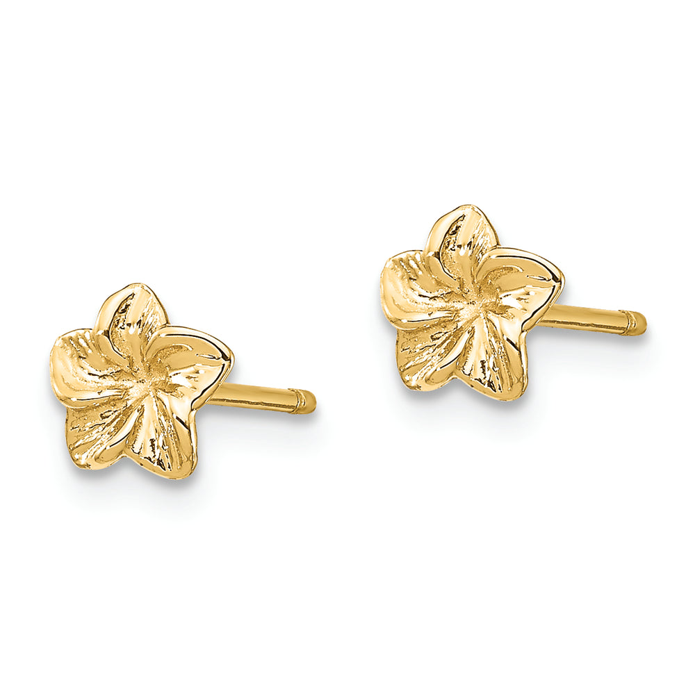 Pendientes de botón en Oro Amarillo de 14k con Flor Plumeria