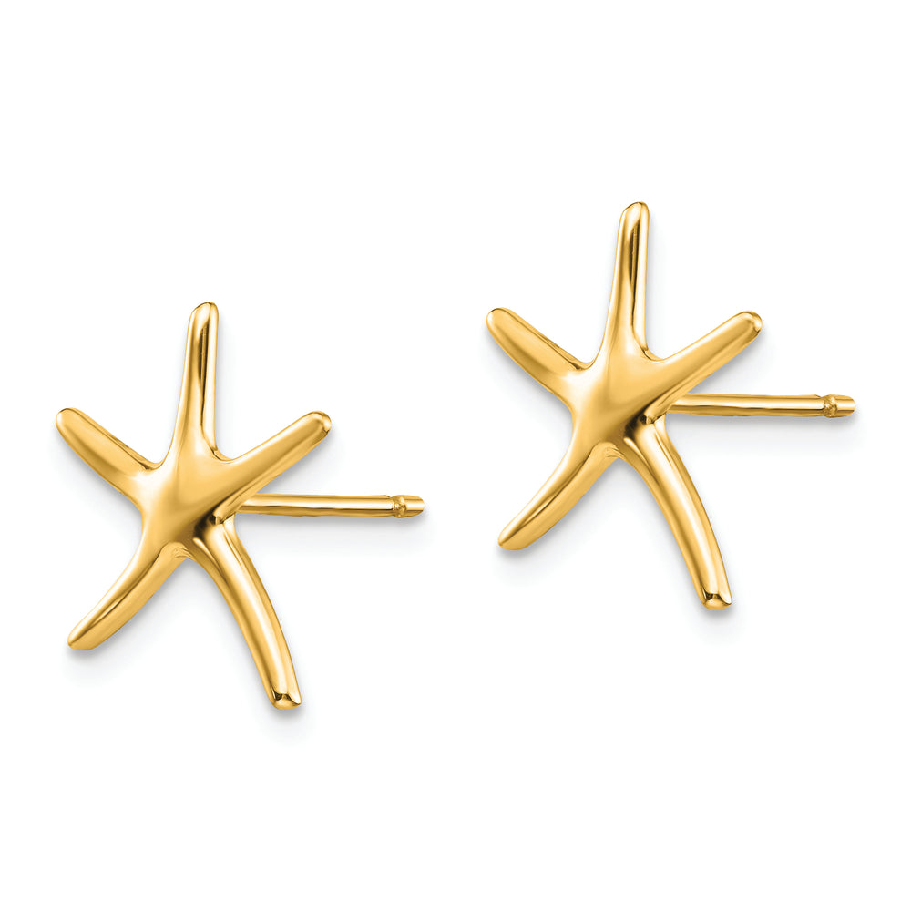 Pendientes de Estrella de Mar en Oro de 14k