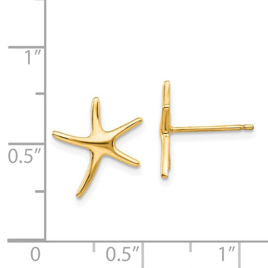 Pendientes de Estrella de Mar en Oro de 14k