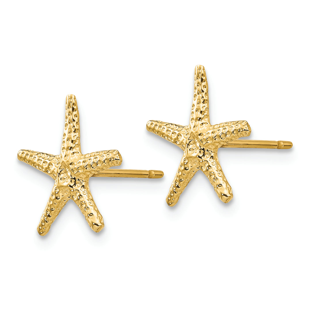 Pendientes de Estrella de Mar en Oro de 14k