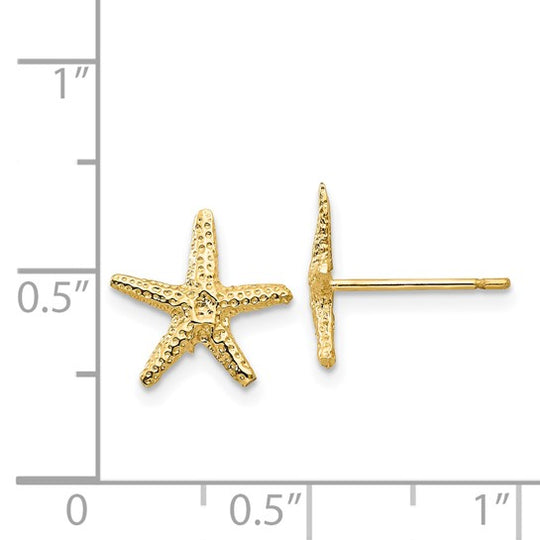 Pendientes de Estrella de Mar en Oro de 14k