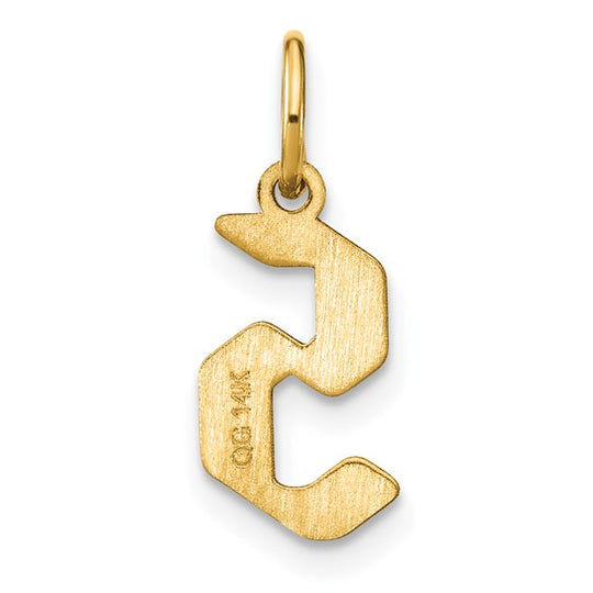 Colgante con la Inicial "S" de Oro Amarillo de 14k