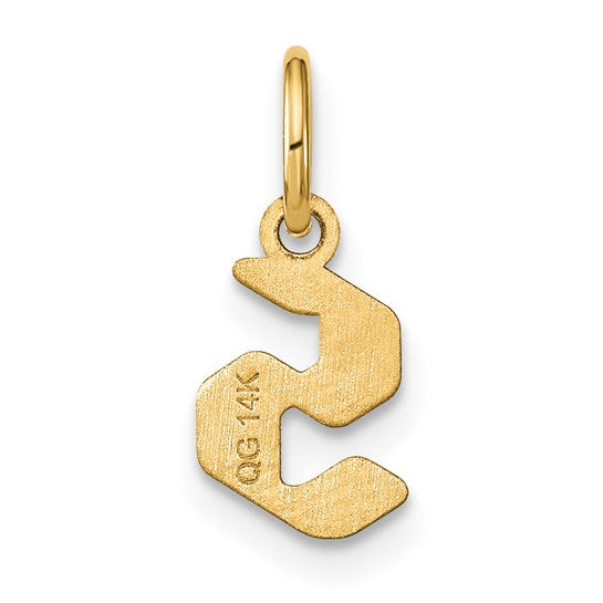 Colgante de Oro Amarillo de 14k con la Inicial "s" en Minúscula