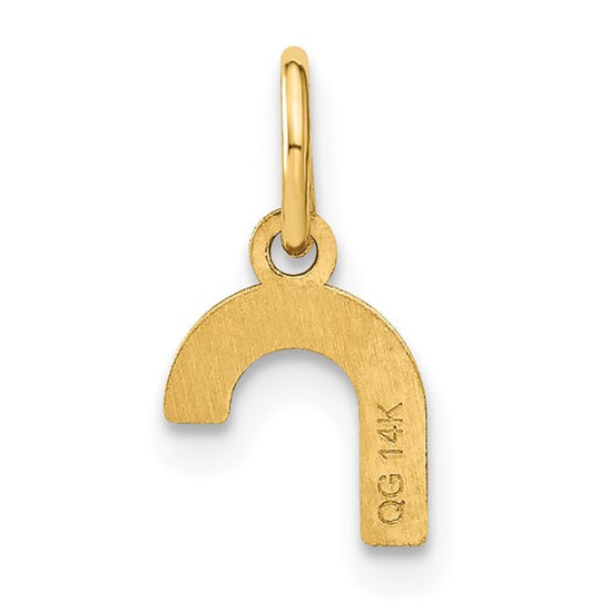 Colgante Inicial "r" Minúscula en Oro Amarillo de 14k