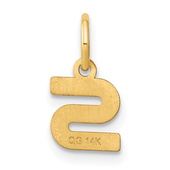 Colgante de Oro Amarillo de 14k con la Inicial "s" en Minúscula