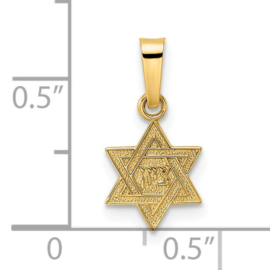 Colgante Sólido de Estrella de David en Oro de 14k Pulido y Texturizado