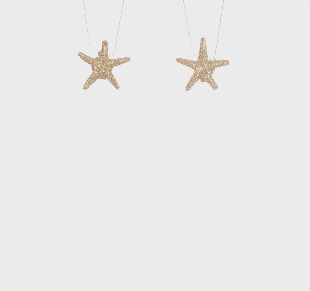 Pendientes de Estrella de Mar en Oro de 14k