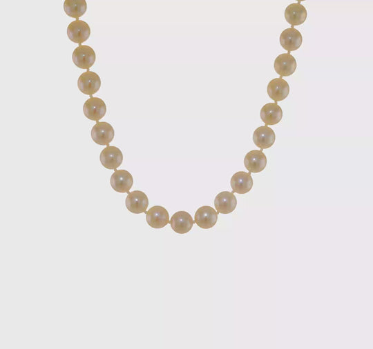 Collar de Oro Amarillo de 14k con Perlas Redondas Blancas Akoya de Agua Salada Cultivadas - 20 Pulgadas