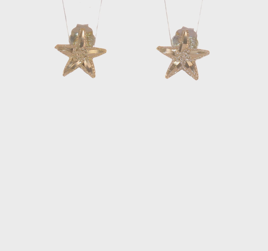 Pendientes con Estrella de Mar Cortados a Diamante de 14k